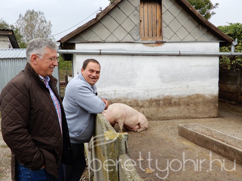 Szüreti mulatság 25